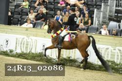 24R13_02086 thumbnail