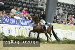 24R13_02090 thumbnail