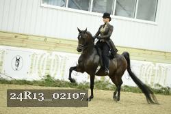 24R13_02107 thumbnail