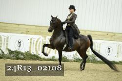 24R13_02108 thumbnail