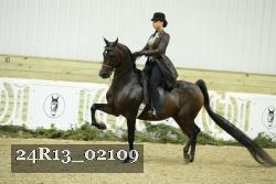 24R13_02109 thumbnail