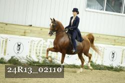 24R13_02110 thumbnail