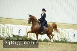 24R13_02111 thumbnail