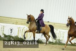 24R13_02116 thumbnail