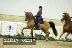 24R13_02117 thumbnail