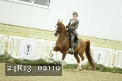 24R13_02119 thumbnail