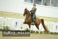 24R13_02120 thumbnail