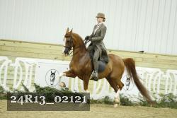 24R13_02121 thumbnail