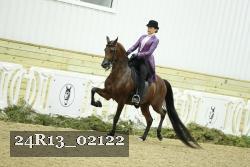24R13_02122 thumbnail