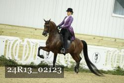 24R13_02123 thumbnail