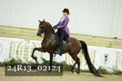24R13_02124 thumbnail