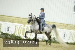 24R13_02125 thumbnail