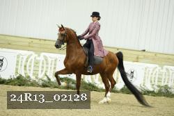 24R13_02128 thumbnail