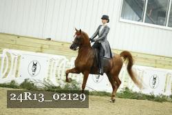 24R13_02129 thumbnail
