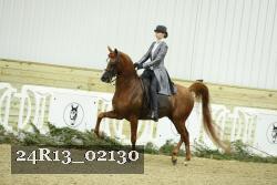 24R13_02130 thumbnail