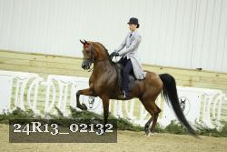 24R13_02132 thumbnail