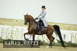 24R13_02133 thumbnail