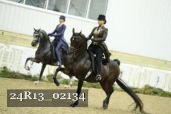 24R13_02134 thumbnail