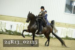 24R13_02135 thumbnail