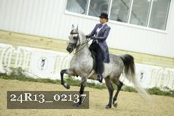 24R13_02137 thumbnail