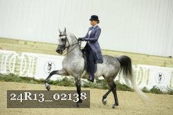 24R13_02138 thumbnail