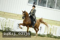 24R13_02139 thumbnail