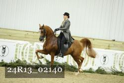 24R13_02140 thumbnail