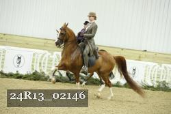 24R13_02146 thumbnail