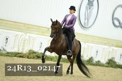 24R13_02147 thumbnail