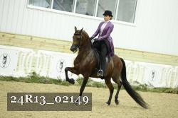 24R13_02149 thumbnail