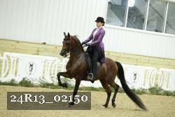 24R13_02150 thumbnail