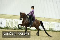 24R13_02151 thumbnail