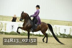 24R13_02152 thumbnail