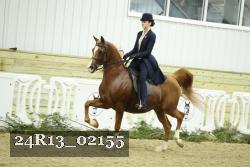 24R13_02155 thumbnail