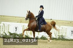 24R13_02156 thumbnail