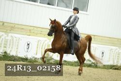 24R13_02158 thumbnail