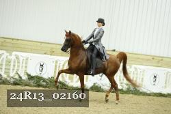 24R13_02160 thumbnail