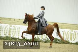 24R13_02161 thumbnail