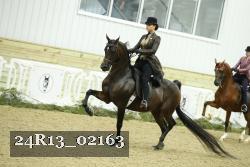 24R13_02163 thumbnail