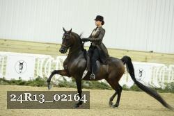 24R13_02164 thumbnail
