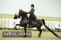 24R13_02165 thumbnail