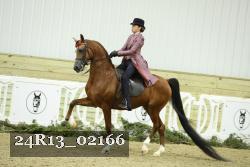 24R13_02166 thumbnail