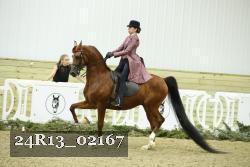 24R13_02167 thumbnail