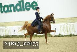 24R13_02175 thumbnail