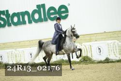 24R13_02176 thumbnail