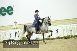 24R13_02177 thumbnail