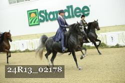 24R13_02178 thumbnail
