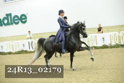 24R13_02179 thumbnail