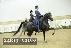 24R13_02180 thumbnail