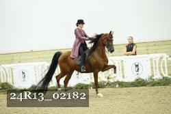 24R13_02182 thumbnail